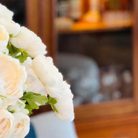 Pomar Da Choca Casa vacanze