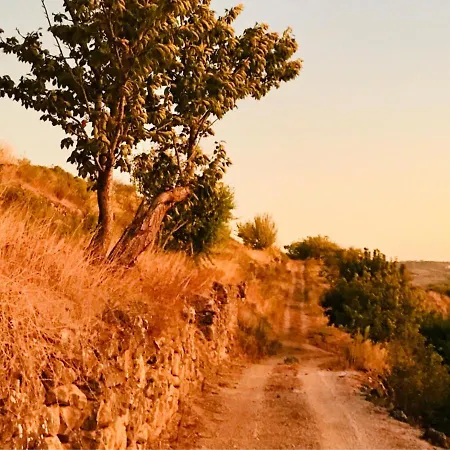 Casa vacanze Pomar Da Choca Alenquer